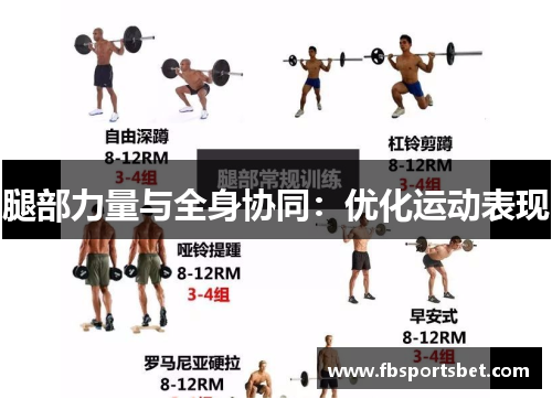 腿部力量与全身协同：优化运动表现